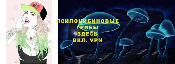 винт Коряжма