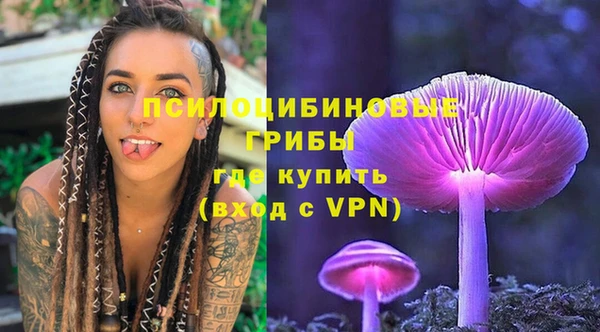 винт Коряжма