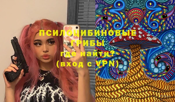 винт Костерёво