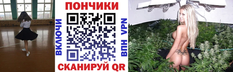 дарнет шоп  ссылка на мегу ONION  Конопля Bruce Banner  Ростов-на-Дону 